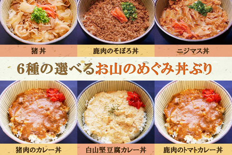 Kanazawa: Day Use Ryokan Experience inc. Private bath, Lunch