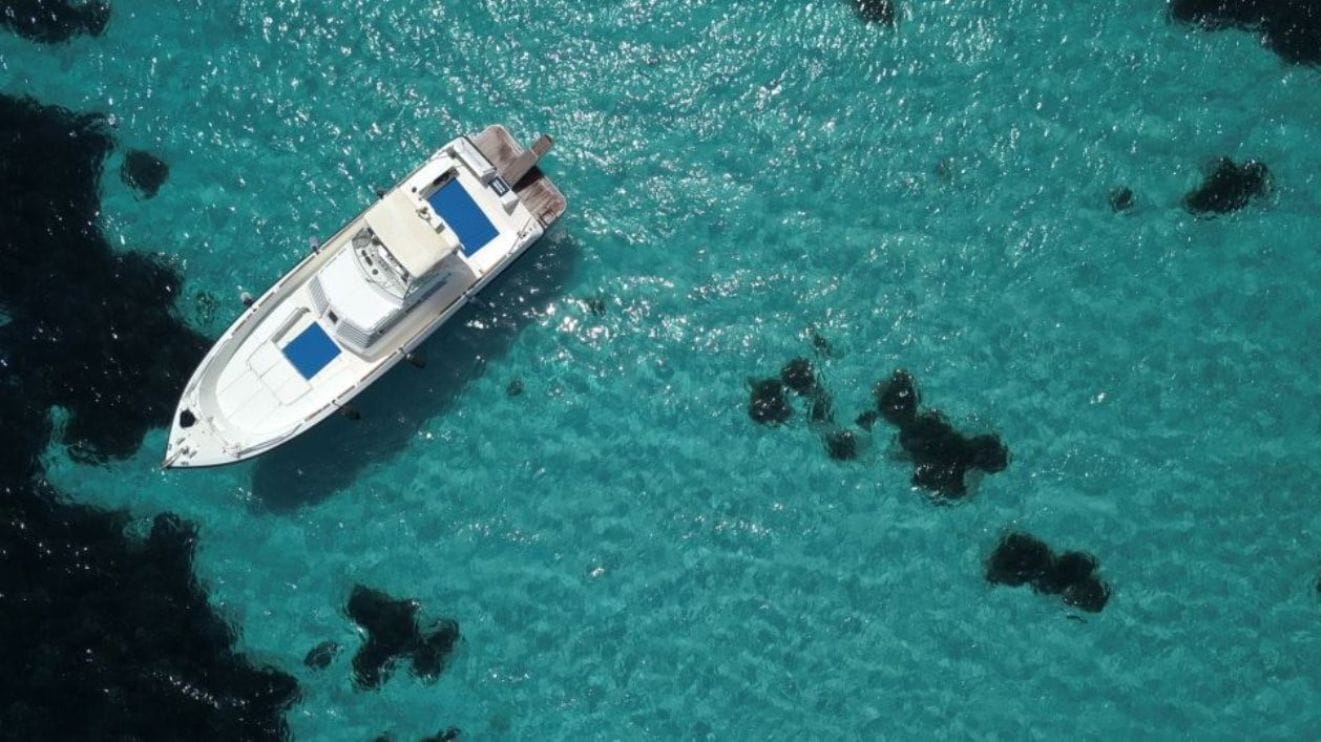 Ab Trapani: Favignana und Levanzo: Mini-Yachttour mit Mittagessen