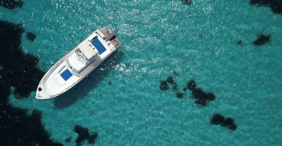 From Trapani: Favignana & Levanzo Mini-Yacht Tour with Lunch