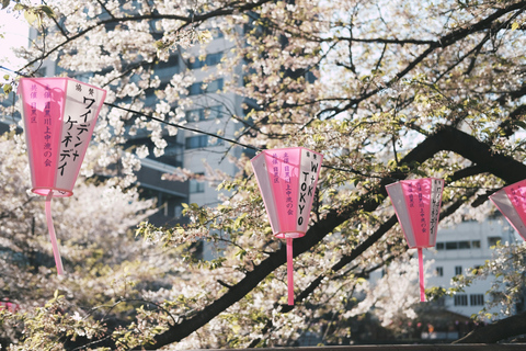 Tokyo Cherry Blossom Walking Tour & Hanami Experience