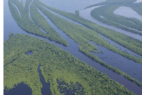 Manaus: Anavilhanas archipelago