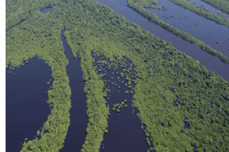 Manaus : archipel d&#039;Anavilhanas