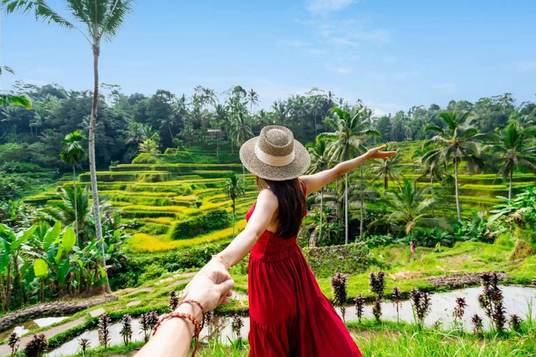 All-Inclusive Rice Terrace, Waterfall, and Temple Day Tour Rice Terrace, Waterfall, Monkey and Temple Without Ticket