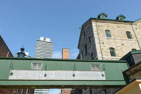 Bike Tour of Toronto Top Attractions with Private Guide 6-hour: Old Town, CN Tower, ROM, High Park Tour