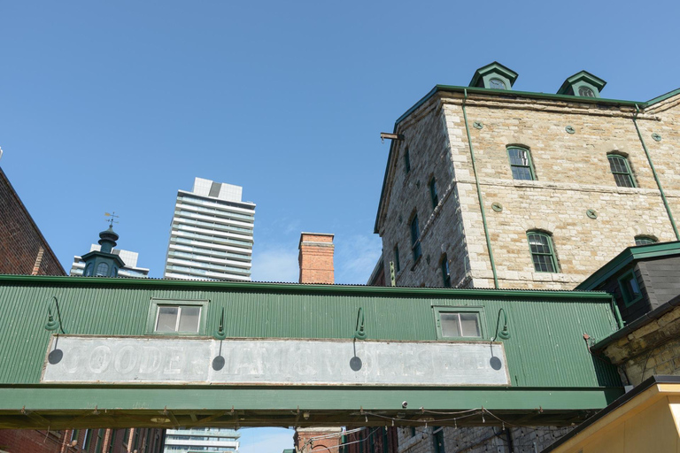 Bike Tour of Toronto Top Attractions with Private Guide 6-hour: Old Town, CN Tower, ROM, High Park Tour