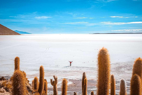 La Paz (La Paz) San Pedro de Atacama utflykt med saltlägenheter