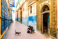 From Marrakesh, Essaouira Full-Day Trip - Housity