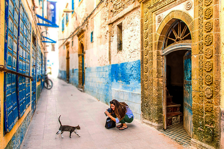 From Marrakesh: Essaouira Full-Day Trip Private Tour