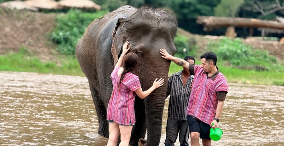Chiang Mai: Elephant Care Experience & Make Vitamin Balls