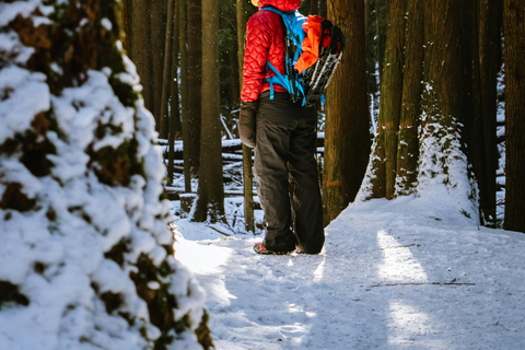 Chamonix: Sneeuwschoenwandelen met lokale kaas &amp; wijnproeverij