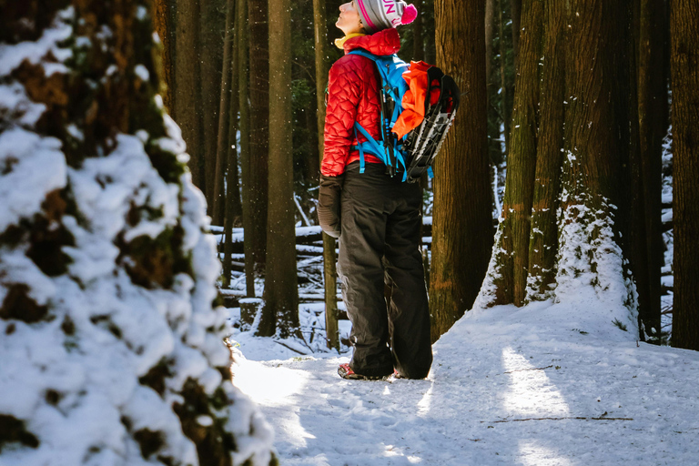 Chamonix: Schneeschuhwandern mit lokaler Käse- und Weinverkostung