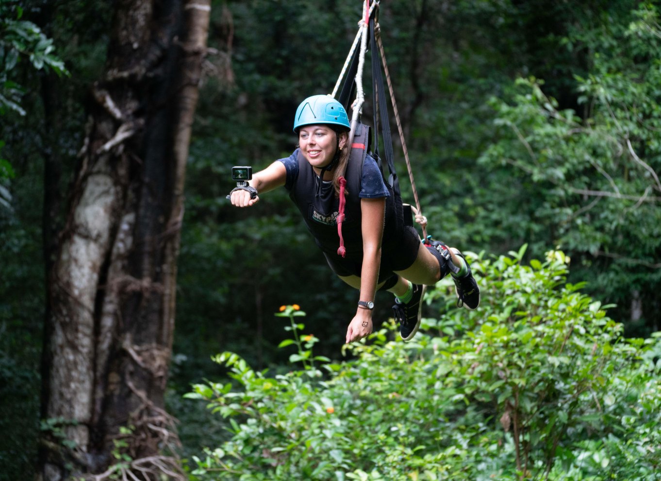 Cairns: Kæmpe gynge
