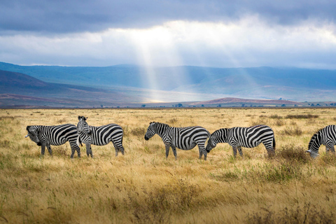 Kenya and Uganda: 7-Day Safari with Gorilla Tracking Tour