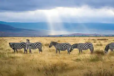 Kenia y Uganda: Safari de 7 días con Rastreo de Gorilas