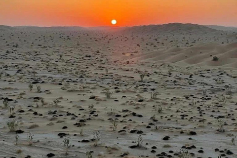 Safari de luxe dans le désert avec nuitée à Salalah