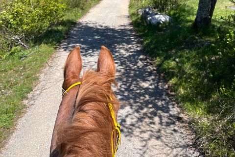 Sarajevo: Scenic Horseback Ride with Optional Lunch