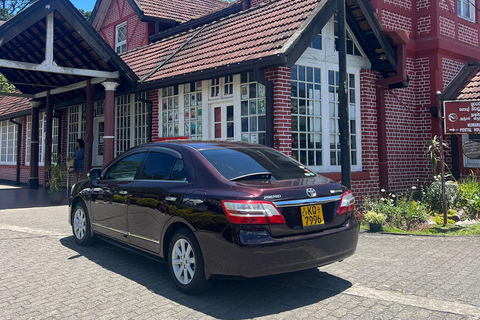 From Kandy: Sigiriya Rock & Minneriya Safari by Luxury Car