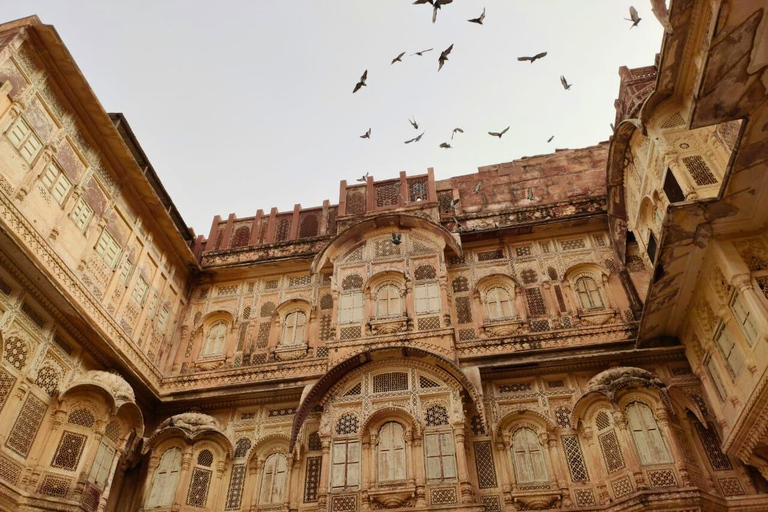 Utforska kungliga Rajasthan: 9 dagar Jaipur till Udaipur med guideUtforska kungliga Rajasthan: 9 dagar från Jaipur till Udaipur med guide