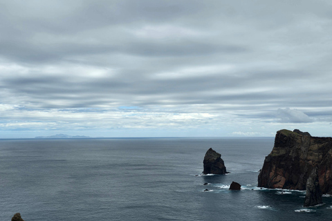 Madeira: Comfortable private tour with views and local guide (up to 4 people)