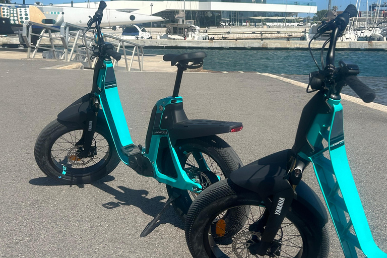 Valencia alles in één: stranden, oude stad &amp; stadskunsten per E-bikeGedeelde Tour Valencia Alles in één