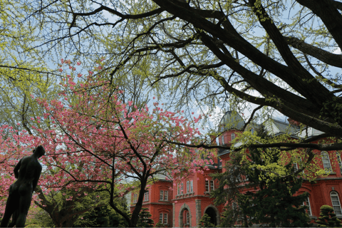 Sapporo History and Gourmet Walking Tour