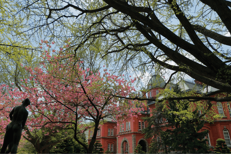 Sapporo History and Gourmet Walking Tour