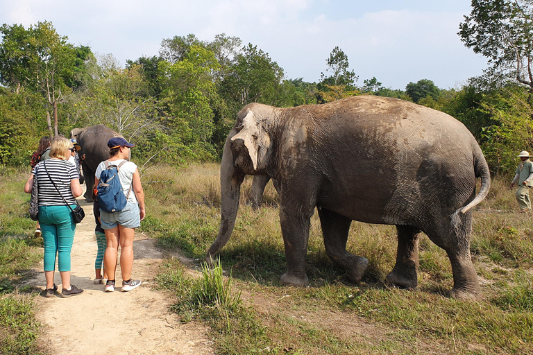 Bosque de Elefantes de Kulen y Lago Tonle Sap en tour privado