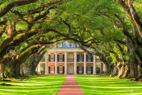 New Orleans: Oak Alley Plantation Tour mit Hoteltransfers