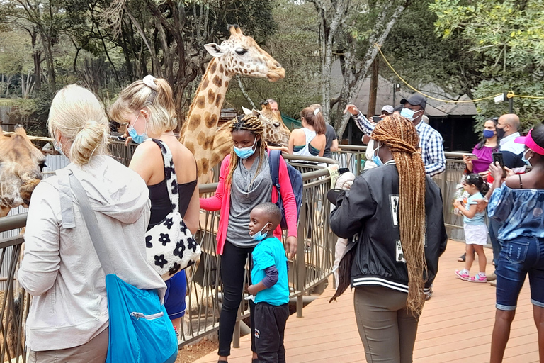 Nairobi: Parco nazionale, orfanotrofio degli elefanti e tour delle giraffe