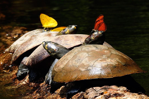 Mother of God: Saldoval Lake + Visit to the Macaws