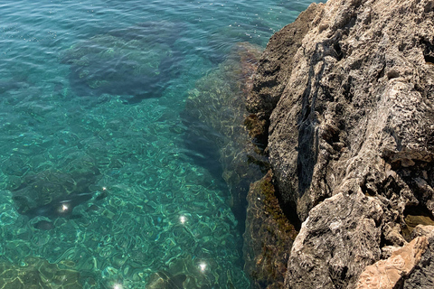 Leonidio : Eau claire, plages éloignées, expérience du SUP