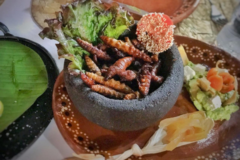 Mexico : visite guidée des brasseries artisanales de La RomaPrivé