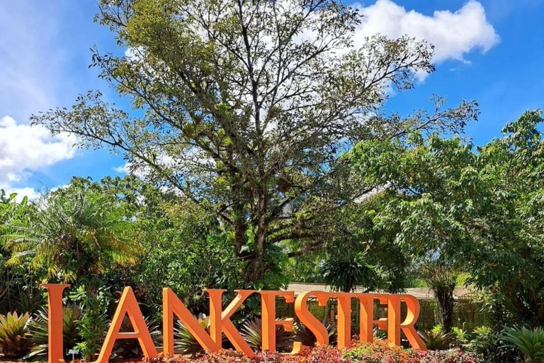 San José: Irazú Volcano, Orosi Day Tour & Lankester Gardens