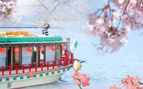 Tokyo: Sakura Dinner Cruise on a Yakatabune Boat with Show