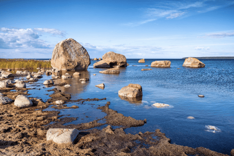 From Tallinn: Saaremaa & Muhu Tour - 2 Islands in One Day