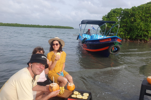 Negombo City Tour & Lagoon Boat safari with Fruit Tasting