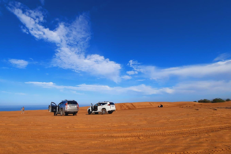 Pequeño viaje al desiertopequeño viaje al desierto