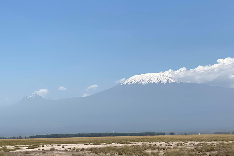 From Nairobi: 3-Day Amboseli & Ngutuni Safari with Transfers