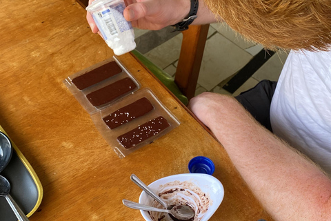 Medellin : Visite d&#039;une ferme de cacao et fabrication de chocolat, près de la villeVisite partagée