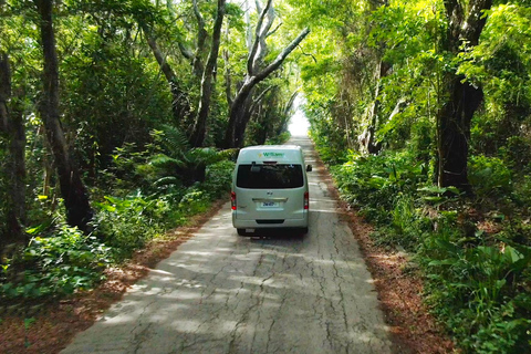 5 Hours St. Nicholas Abbey and Bajan Tour in Barbados Guided tour in English