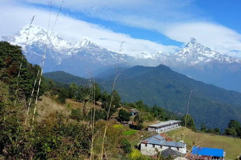 Pokhara: Small Group Day Hike to Australian Camp