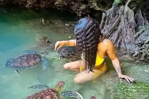 ZANZIBAR:Spice farm and Baraka aquarium tour with lunch