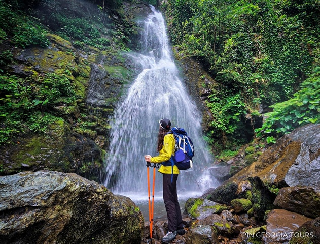 Batumi: Mtirala National Park Guided Hiking & Treetop Tour