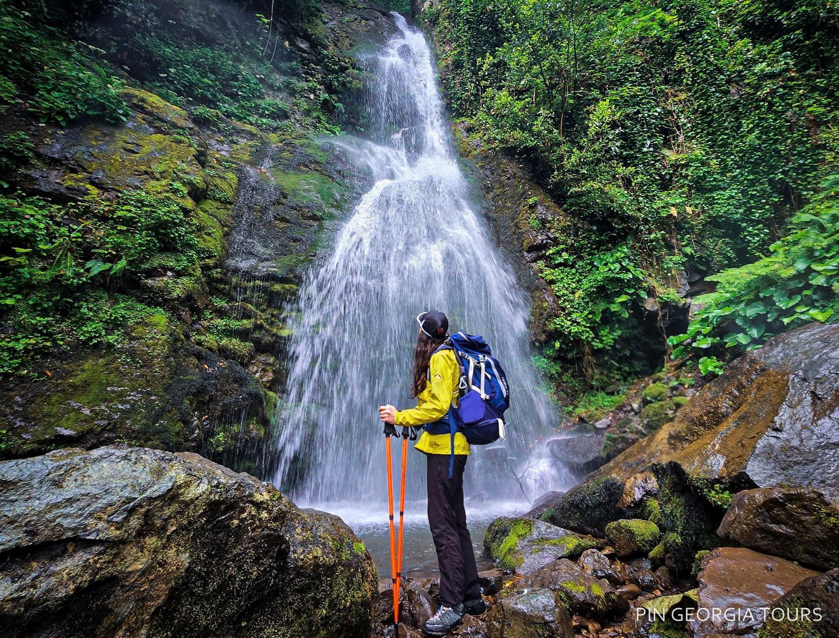 Ab Batumi: Geführte Wanderung im Mtirala-Nationalpark & Baumwipfel-Tour