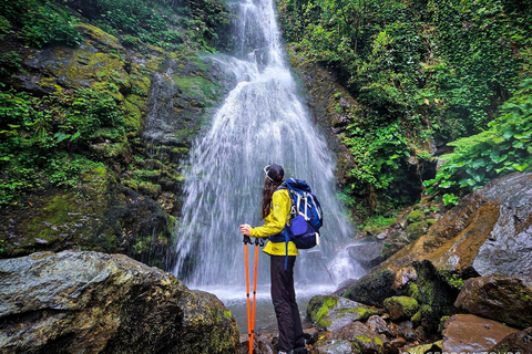 Batumi: Mtirala National Park Guided Hiking & Treetop Tour From Batumi: Mtirala National Park Guided Hiking Tour