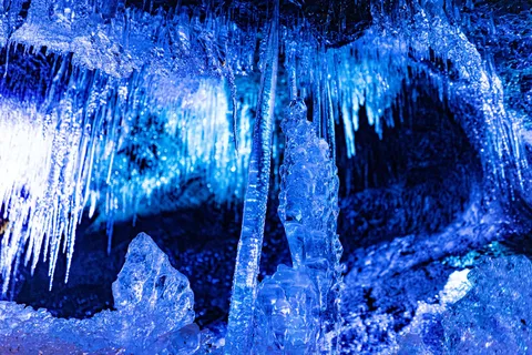 Mt. Fuji Ice Cave, Oshino Hakkai, Muscat All-you-can-eat