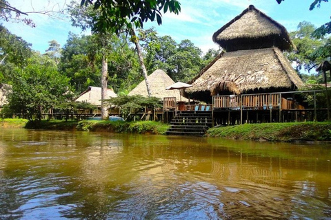 Cuyabeno: Amazon Adventure with Pink Dolphins, Wildlife, and the Siona Community Cuyabeno: Amazon Adventure with Pink Dolphins, Fauna and Flora, and the Siona Community