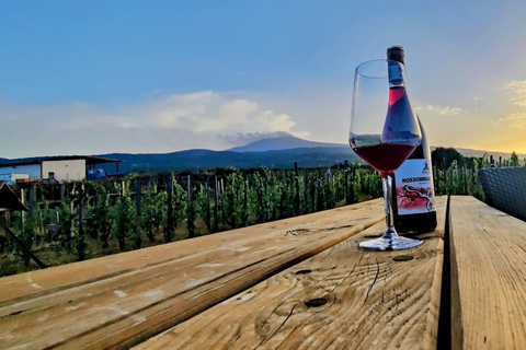 Visite des vignobles avec dégustation de vins