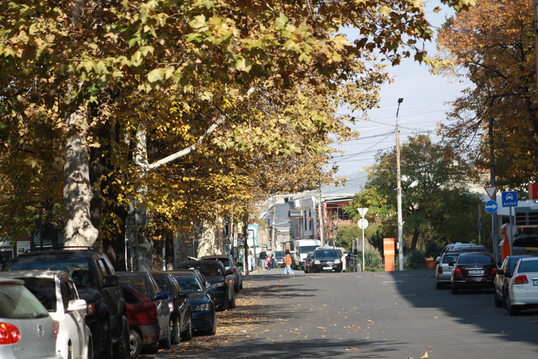 Vanuit Tbilisi: Gori per trein - Stalinmuseum en verborgen parelsPrivé-ervaring