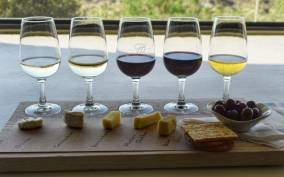 Full day Wine Tour with 14 Wine tasting + Lunch INCLUDED
